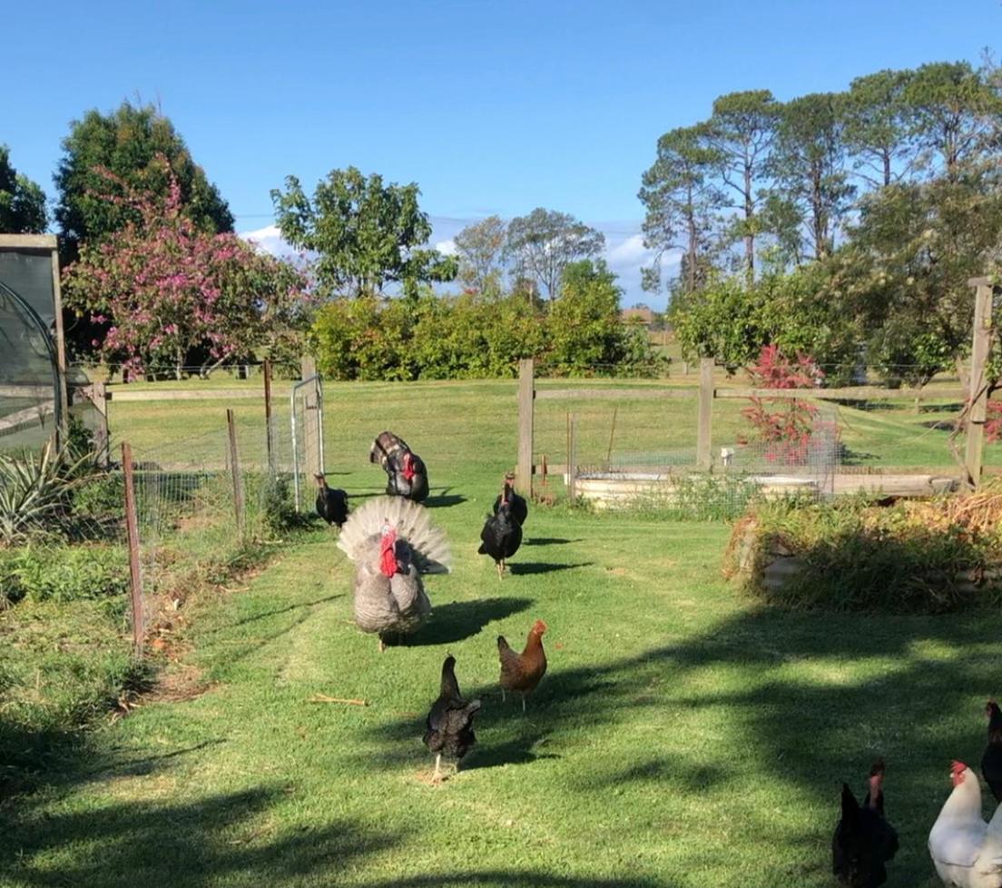 Bird Song Farm 호텔 Hat Head 외부 사진